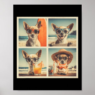 Affiche Chihuahuas Cool Lunettes de soleil Cute Chiens Vac