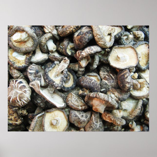 Affiche Chiitake Musrooms (Devant)
