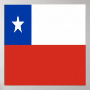 Affiche Chili Drapeau Chilienne Ethnicité Homeland Pride