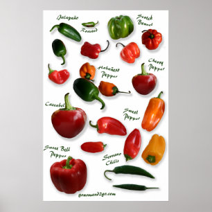 Affiche Chili Variétés Wall Art