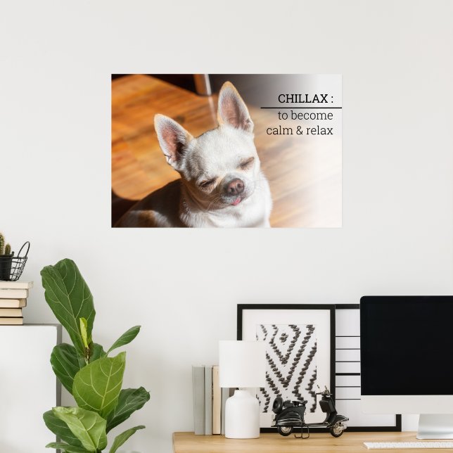 Affiche Chillax Chihuahua somnolent langue détendue sortie (Bureau à domicile)