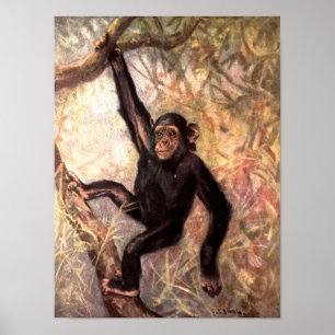 Affiche Chimpanzé singe par CE Swan, Animaux sauvages vint