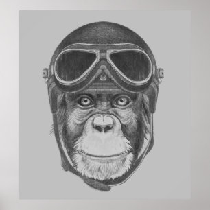Affiche Chimpanzé vintage