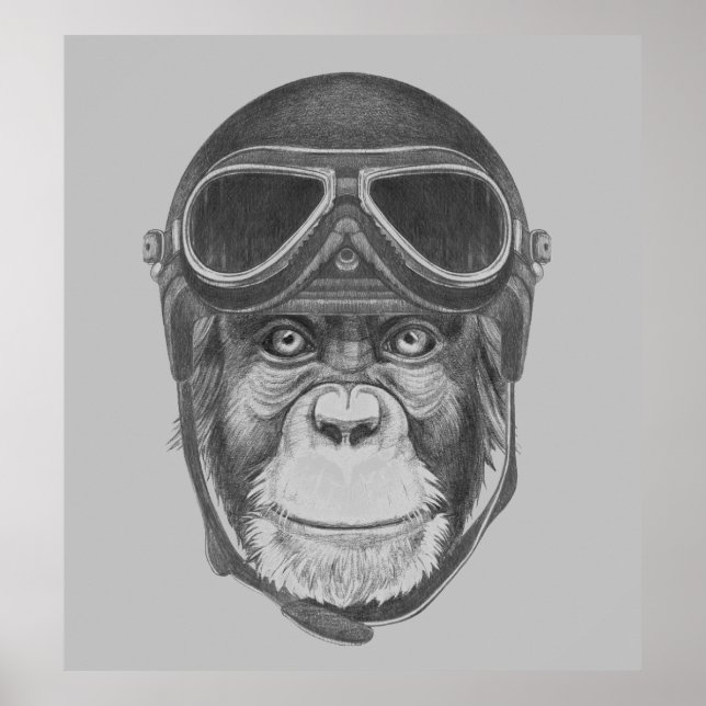 Affiche Chimpanzé vintage (Devant)