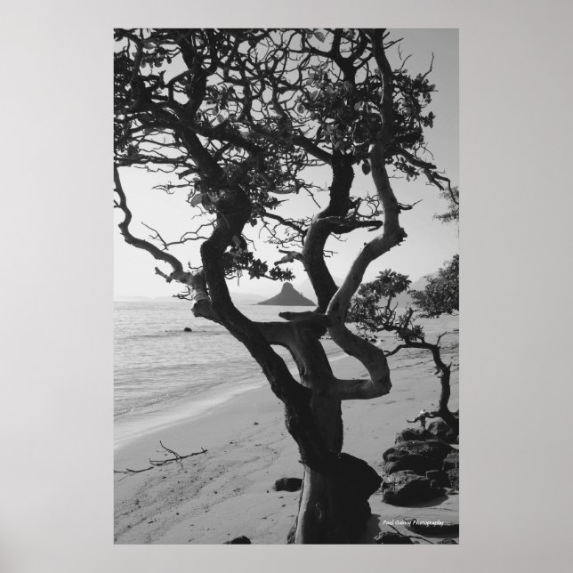 Affiche Chinaman's Hat (Devant)