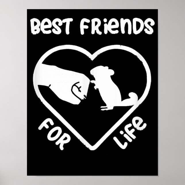 Affiche Chinchilla Cadeau Cute Chinchillas Cadeau (Devant)