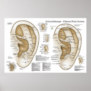 Affiche Chinese System of Auricular Ear Acupuncture