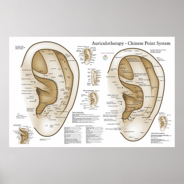 Affiche Chinese System of Auricular Ear Acupuncture (Devant)