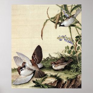 Affiche Chinoiserie Vintage Moineaux et Fleurs Violettes
