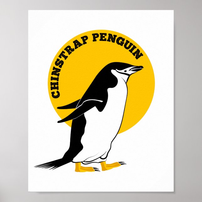 Affiche Chinstrap penguin (Devant)