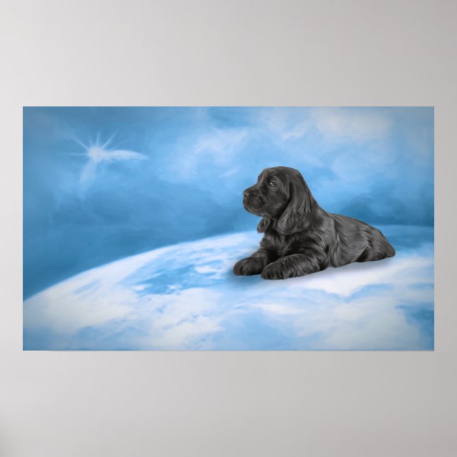 Affiche Chiot anglais Cocker Spaniel (Devant)