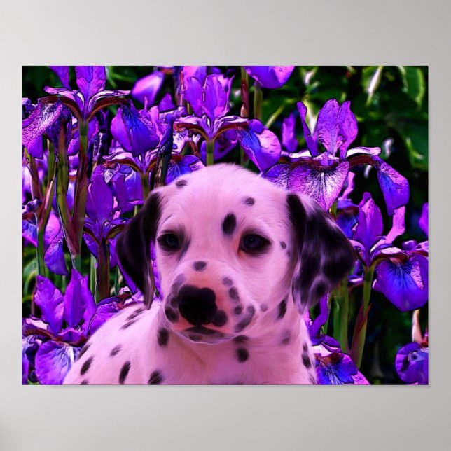 Affiche Chiot dalmate Iris Fleurs de Chien Art (Devant)