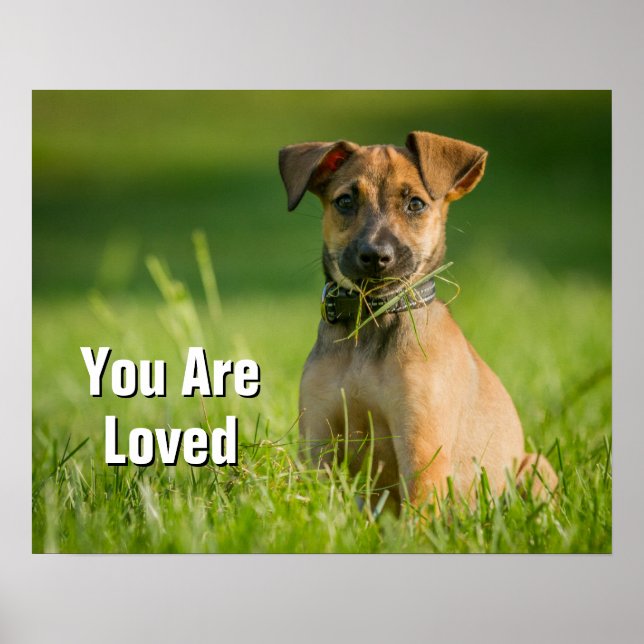 Affiche Chiot Dans L'Herbe (Devant)
