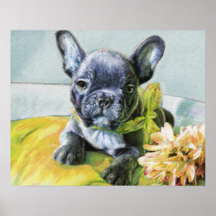 Affiche chiot de bouledogue français