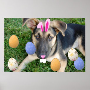 Affiche Chiot de Pâques allemand