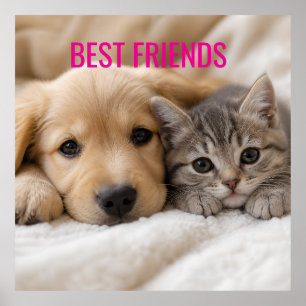 Affiche Chiot endormi et chaton câlins