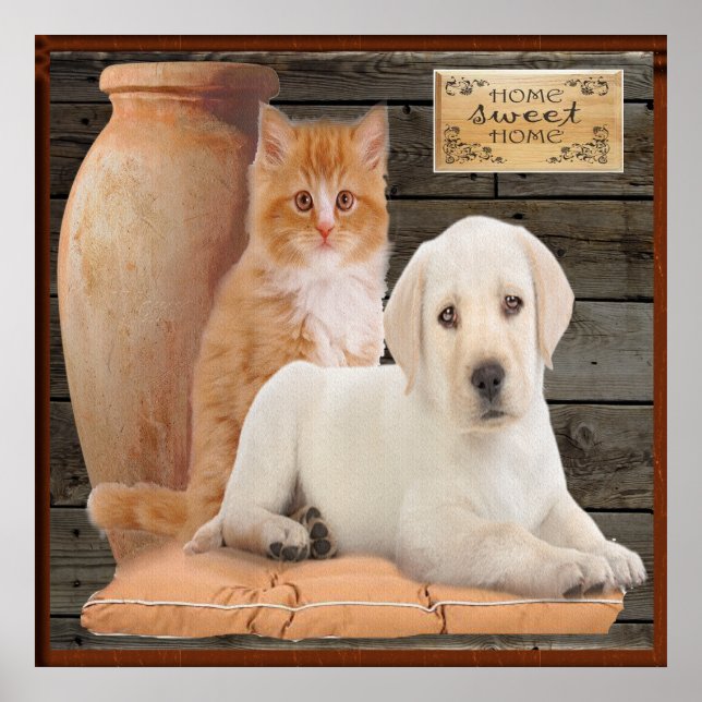 affiche chiot et chaton (Devant)