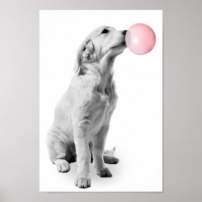 Affiche Chiot Golden Retriever Bulle Nourrisson Enfant (Devant)