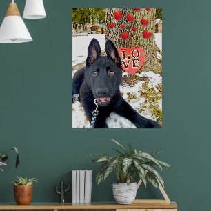 Affiche Chiot GSD noir avec coeurs & grand amour Saint-Val