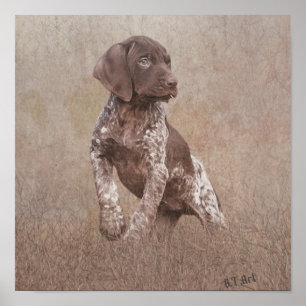 Affiche Chiot pointeur allemand