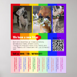 Affiche Chiot pour la vente prospectus avec code QR