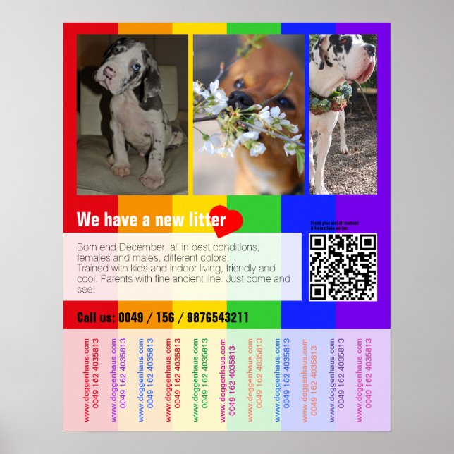 Affiche Chiot pour la vente prospectus avec code QR (Devant)