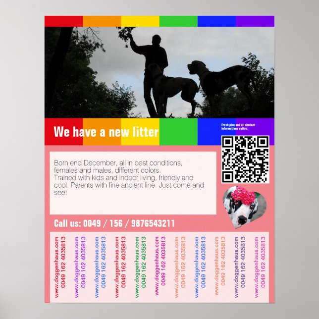 Affiche Chiot pour la vente prospectus avec code QR (Devant)