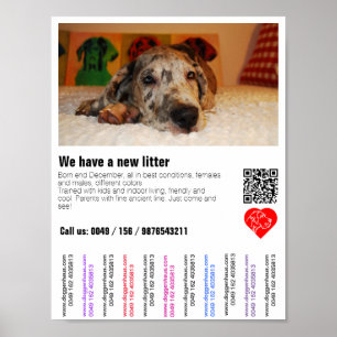 Affiche Chiot pour la vente prospectus avec code QR