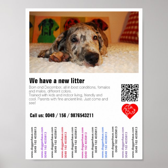 Affiche Chiot pour la vente prospectus avec code QR (Devant)