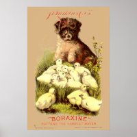 Chiots et bébés chicots de l'ère victorienne publi