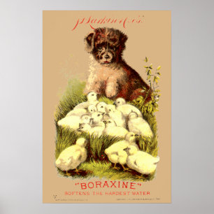 Affiche Chiots et bébés chicots de l'ère victorienne publi