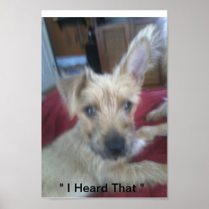 Affiche chiots mignons