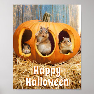 Affiche Chipmunks à l'intérieur de Boo Jack-o-Lantern