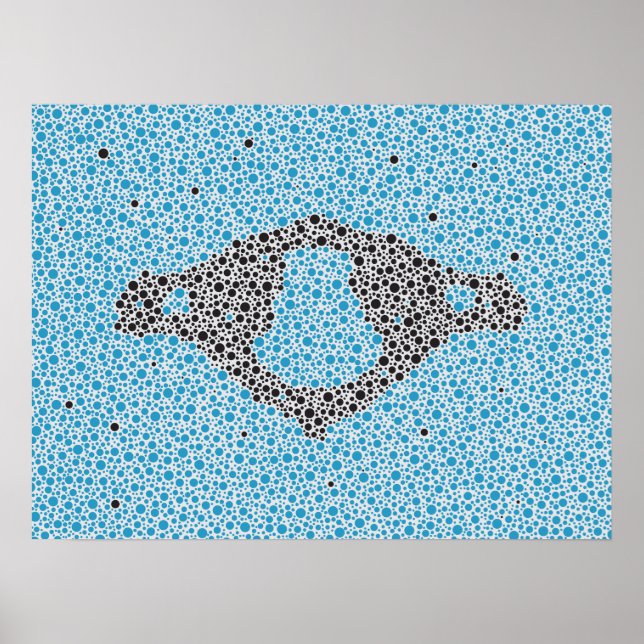 Affiche Chiropractic Anatomy Artwork Cervical Vertebrae (Devant)