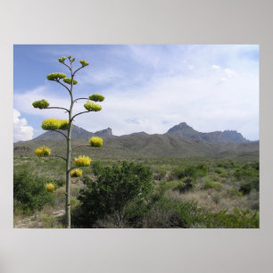 Affiche Chisos Mountains - Big Bend, Texas