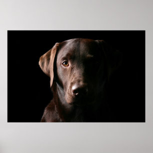 Affiche Chocolat étonnant Labrador