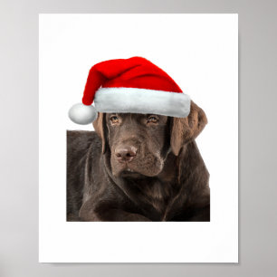 Affiche Chocolat Lab Chemise Labrador Retriever Chien Chri