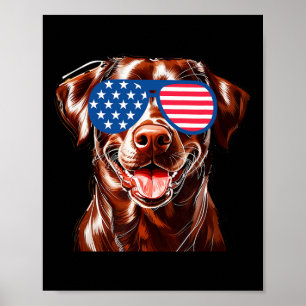 Affiche Chocolat Lab Chien Drapeau Américain Patriotique 4