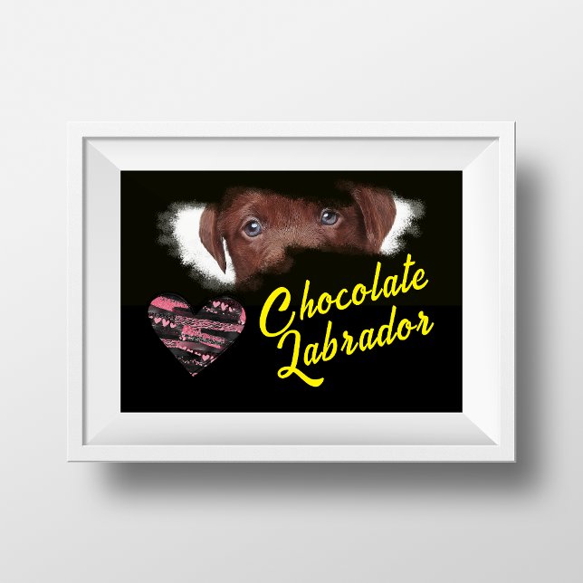 Affiche Chocolat Labrador Yeux couleur solide (Créateur téléchargé)