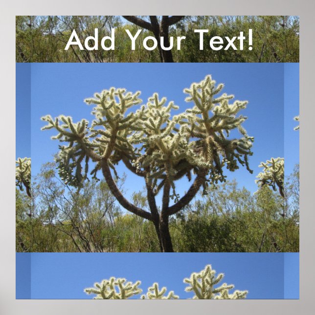 Affiche Cholla Cactus (Devant)