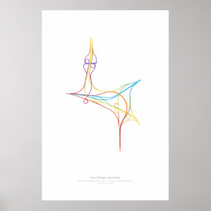 Affiche Chorégraphie d'échange : Novi, MI, USA