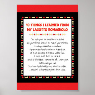 Affiche Choses drôles I appris de mon Lagotto Romagnolo