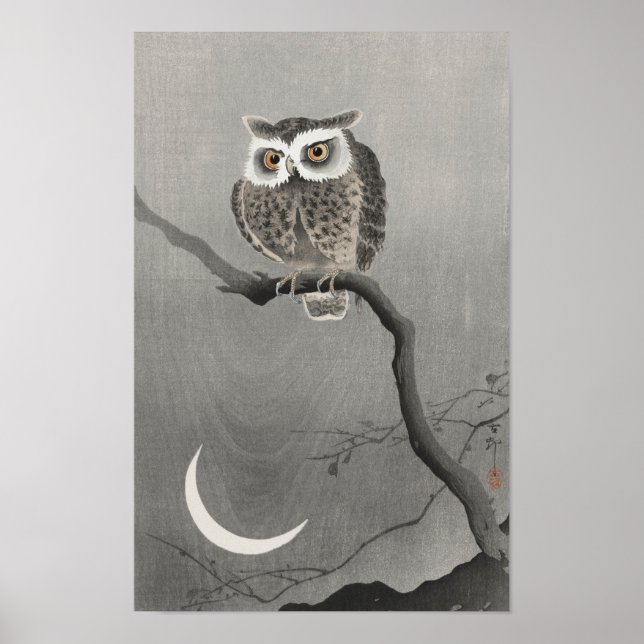 Affiche Chouette à longue portée sur la branche des arbres (Devant)