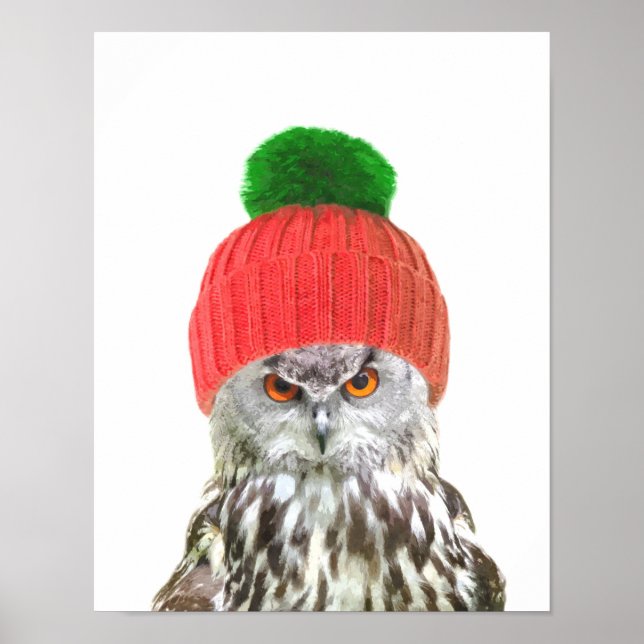 Affiche Chouette avec casquette portrait d'animal drôle (Devant)
