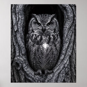 Affiche Chouette dans un arbre noir et blanc