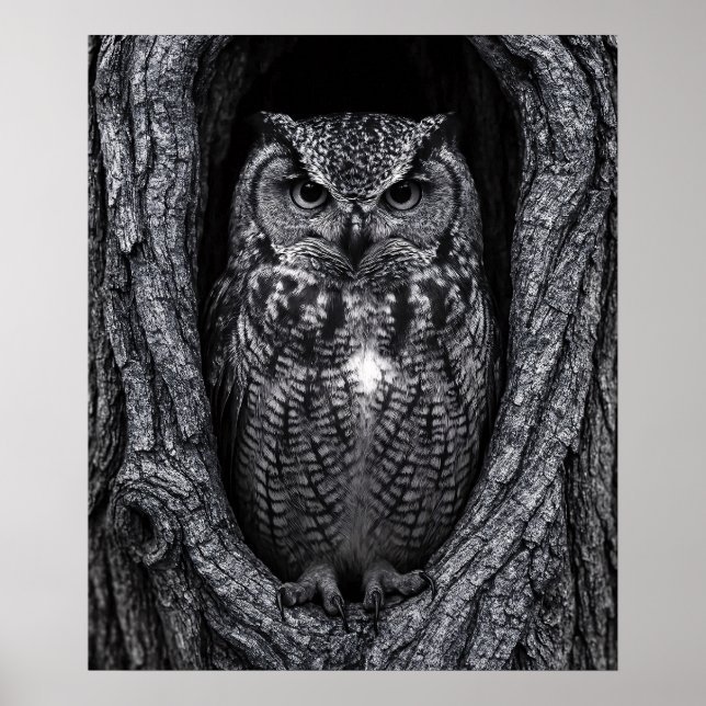 Affiche Chouette dans un arbre noir et blanc (Devant)