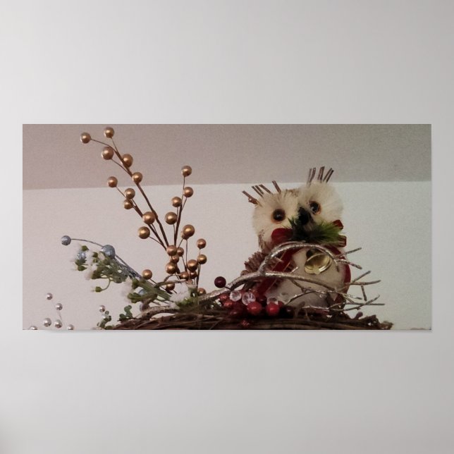 Affiche chouette de Noël (Devant)