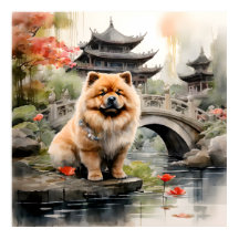 Chow Chow à la découverte d'un jardin chinois