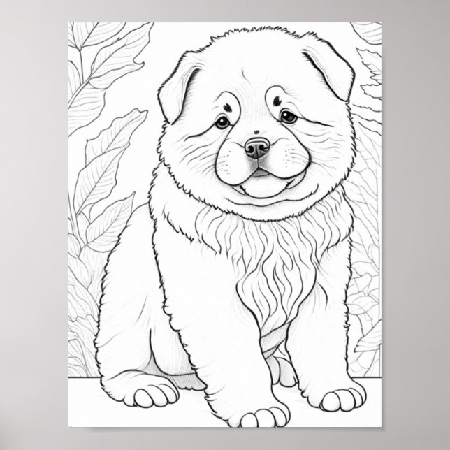 Affiche Chow Dog Couleur adulte (Devant)