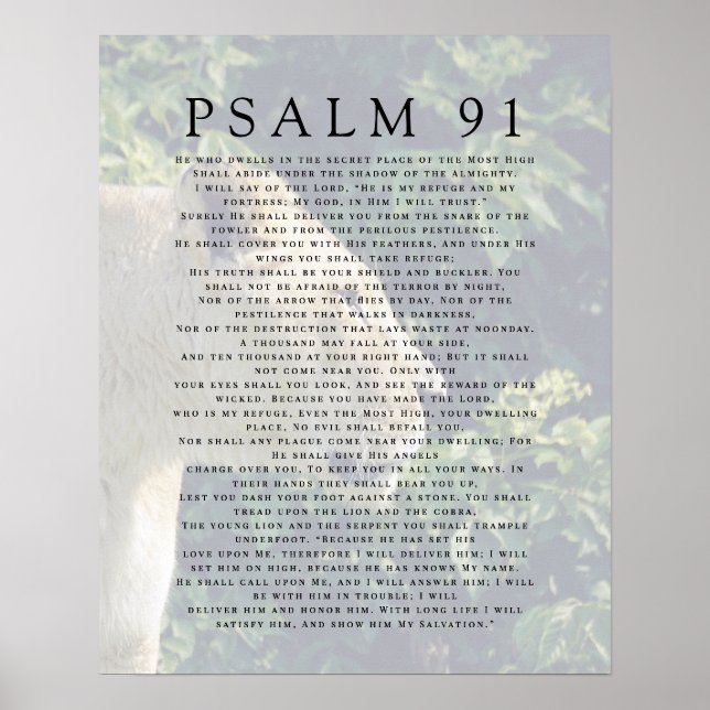 Affiche chrétienne tête de lion Psaume 91 (Devant)